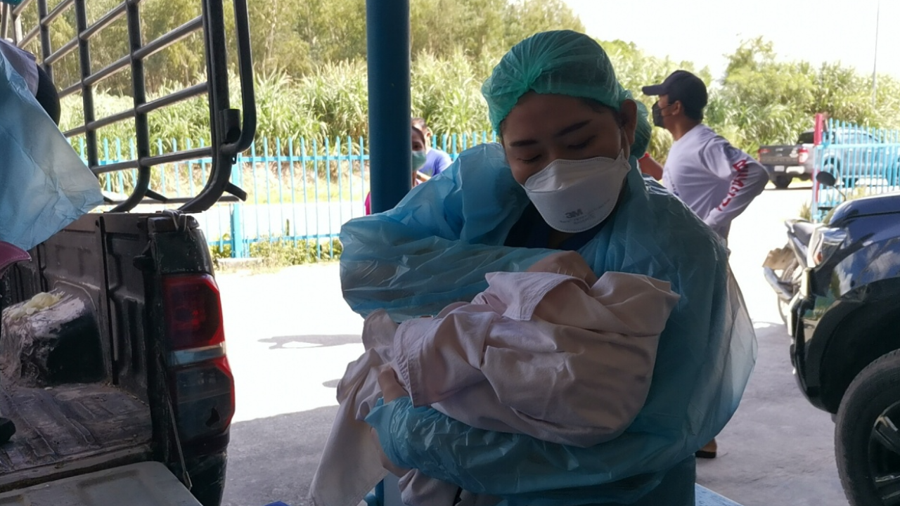 คอหวยแห่ส่องทะเบียน สาวคลอดบนรถ พ่ออวดผลงานคนที่ 3 แล้ว 