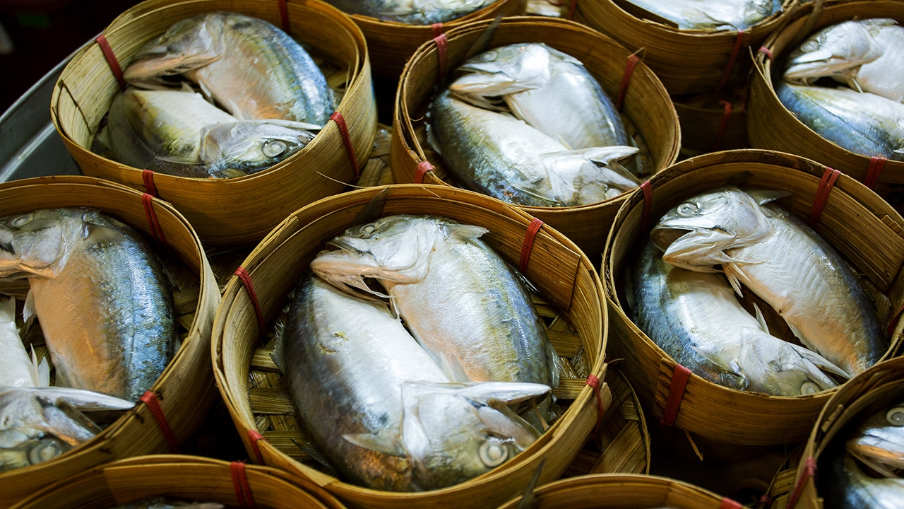 #Save “ปลาทู” ไทย อย่าให้เป็นแค่ “ความฝัน”