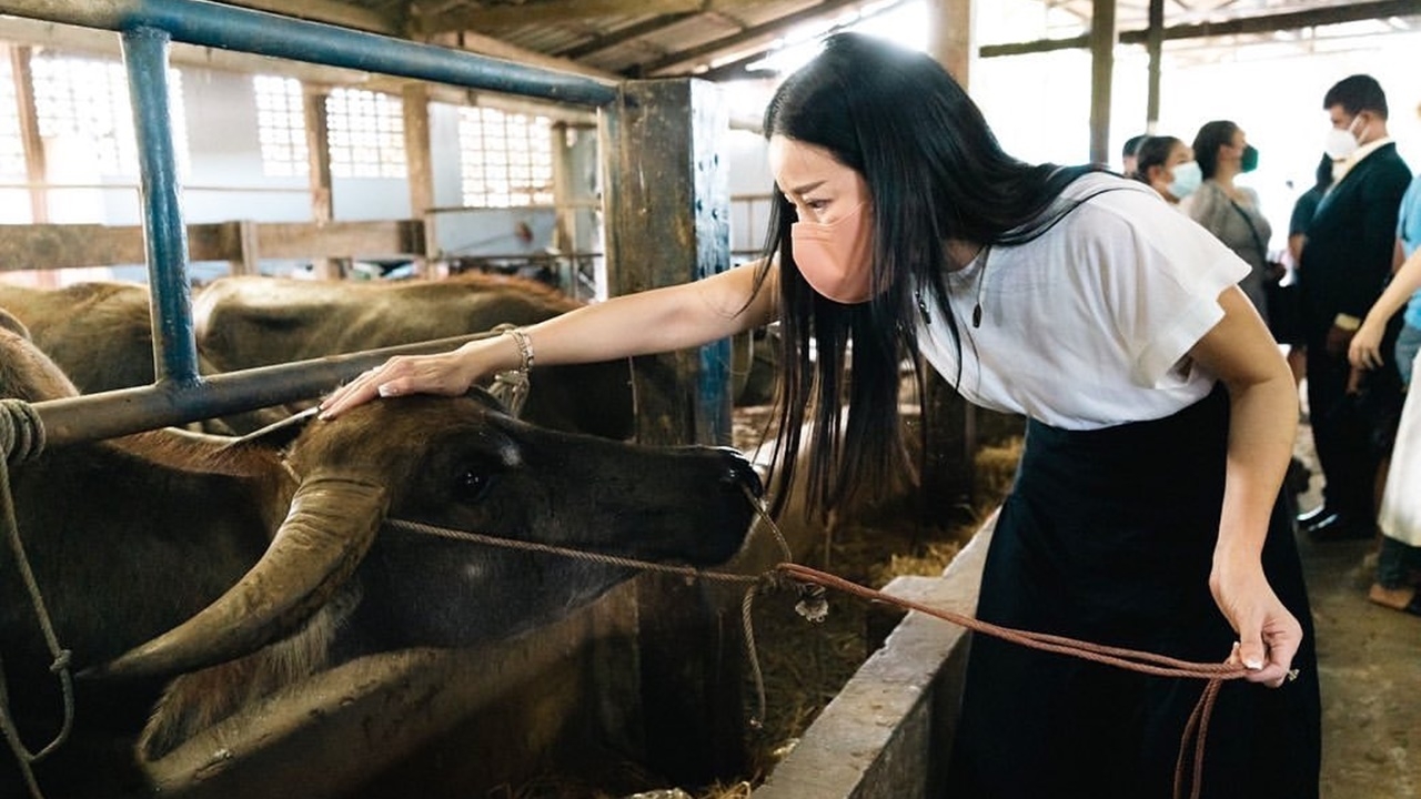 หนิง ชวนเพื่อนไถ่ชีวิตโคกระบือ 40 ตัว ทำบุญให้ แตงโม วัวควายรับรู้น้ำตาไหล