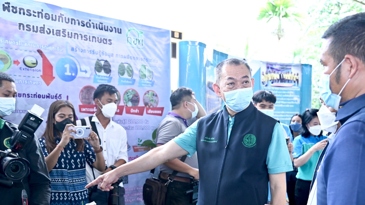 "เฉลิมชัย" สั่ง กรมส่งเสริมการเกษตร เพาะ กระท่อมพันธุ์ดี แจกเกษตรกร