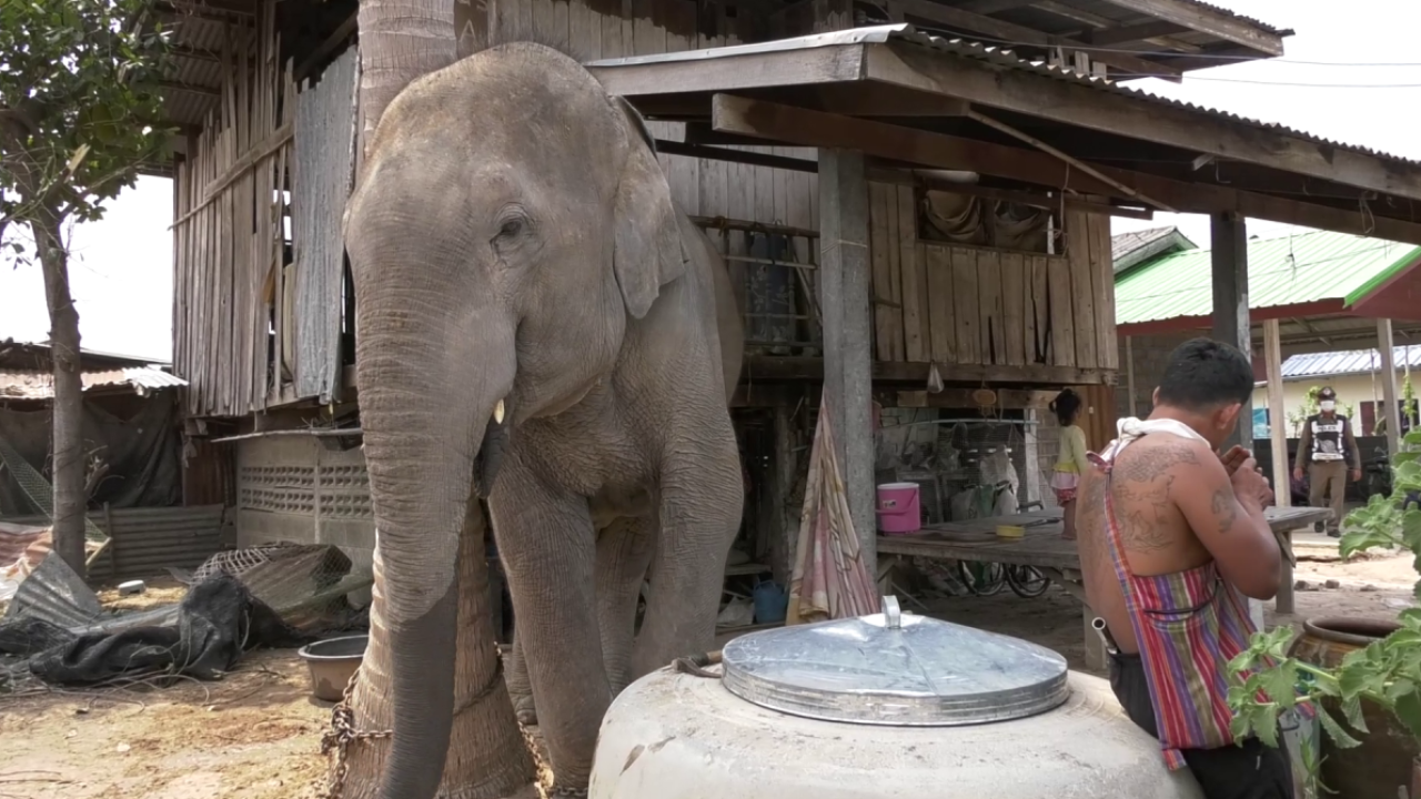 หนุ่มบุกชิงช้าง จับเป็นตัวประกันต่อรองพี่ชาย ขายเอาเงินมาแบ่งกัน