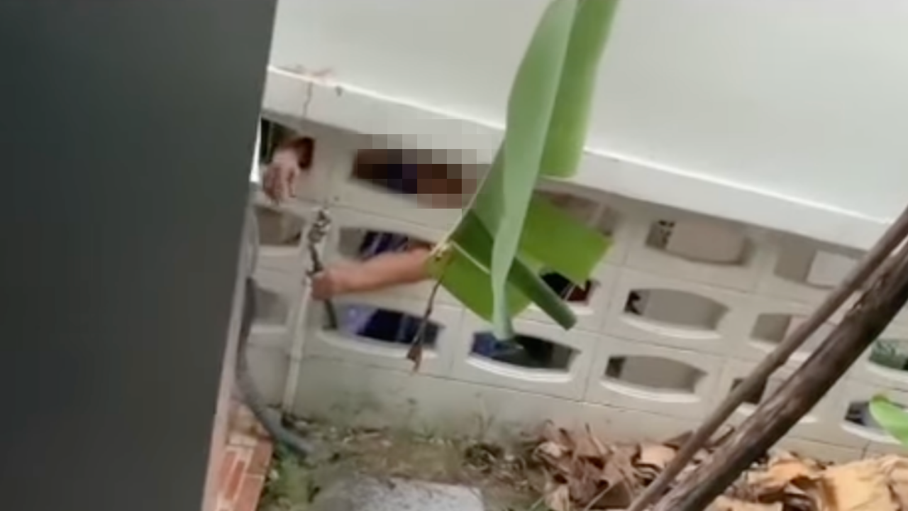 ไม่มีคนอยู่ แต่ทำไมพื้นเปียก สาวหายข้องใจหลังพบคลิป "ป้าข้างบ้าน" แอบใช้น้ำ