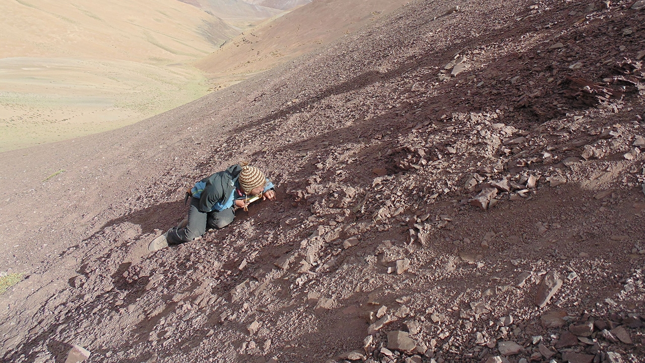 พบสุสานโบราณ ของเทอโรซอร์ในชิลี
