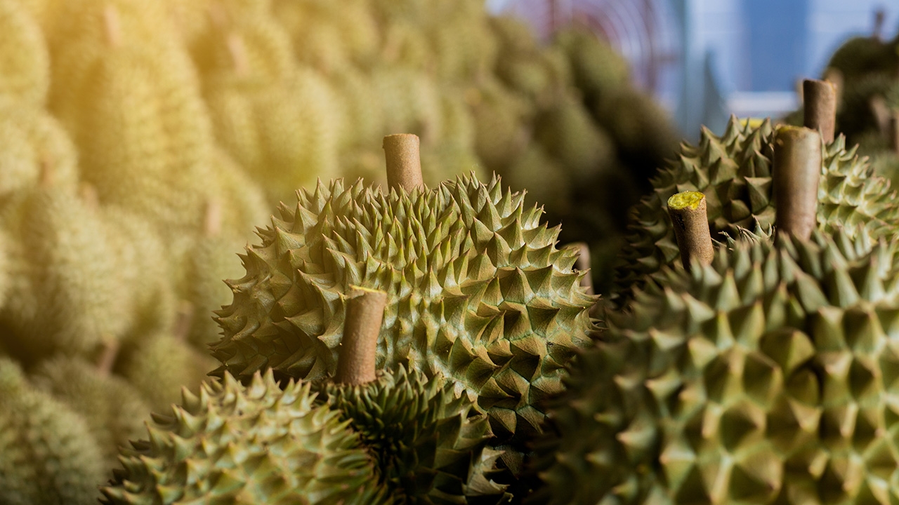 ประเทศปลูกทุเรียน