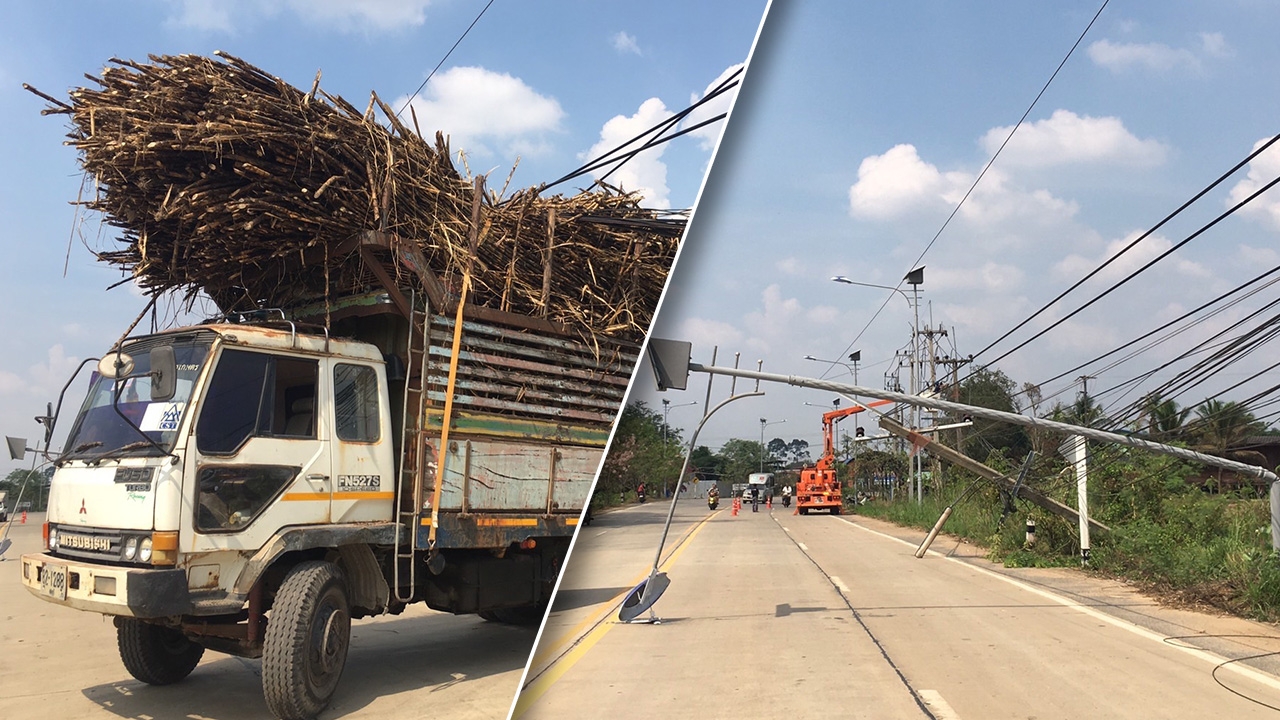 สิบล้อขนอ้อย บรรทุกสูงเกินพิกัด-เกี่ยวสายไฟ ทำเสาไฟล้มระเนระนาด 11 ต้น