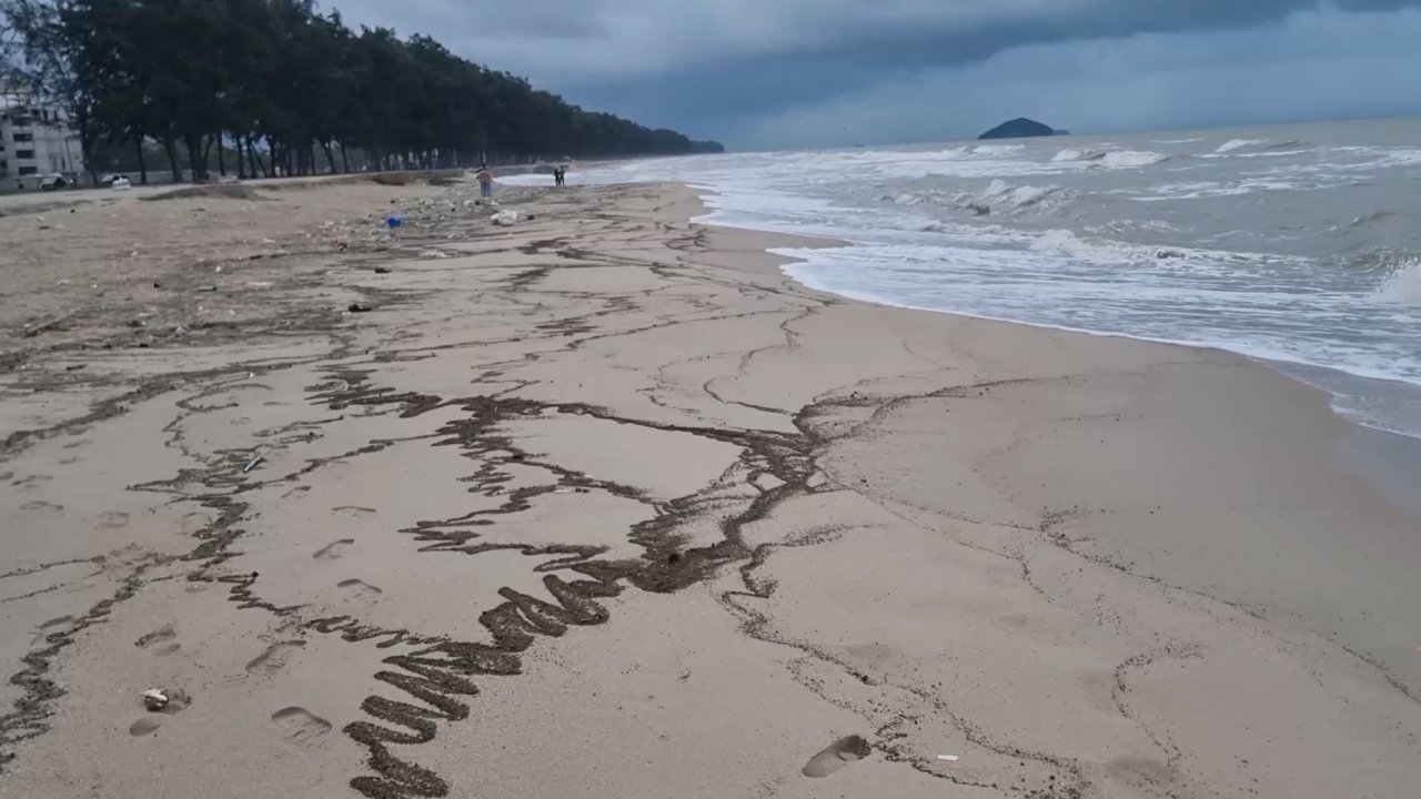 หินภูเขาไฟยังถูกคลื่นซัดเกยหาดสงขลาหลายจุด ชาวบ้านเริ่มโกยไปปลูกต้นไม้