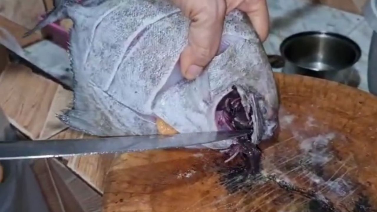 พบปลาจาระเม็ดดำ เหงือกสีดำมีกลิ่นฉุน วอนรัฐตรวจสอบหวั่นปนเปื้อนน้ำมัน