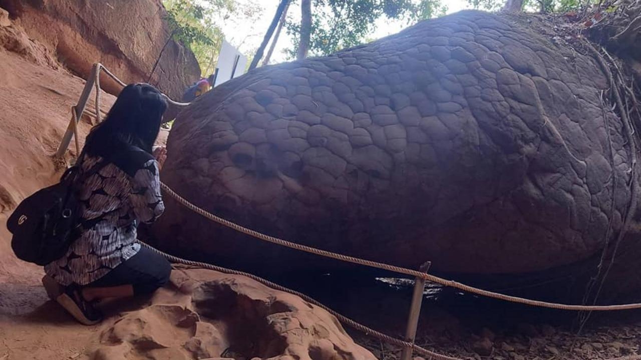 บึงกาฬเข้มเข้าถ้ำนาคา 500 คนต่อวัน นักท่องเที่ยวประทับใจการจัดระบบใหม่