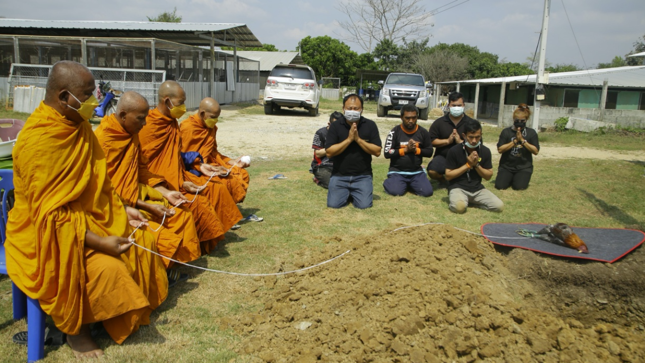 เสี่ยเมืองจันท์เตรียมเงิน 3 ล้าน ทำบุญให้ ไก่ชนสุดรัก หลังสิ้นอายุขัย 