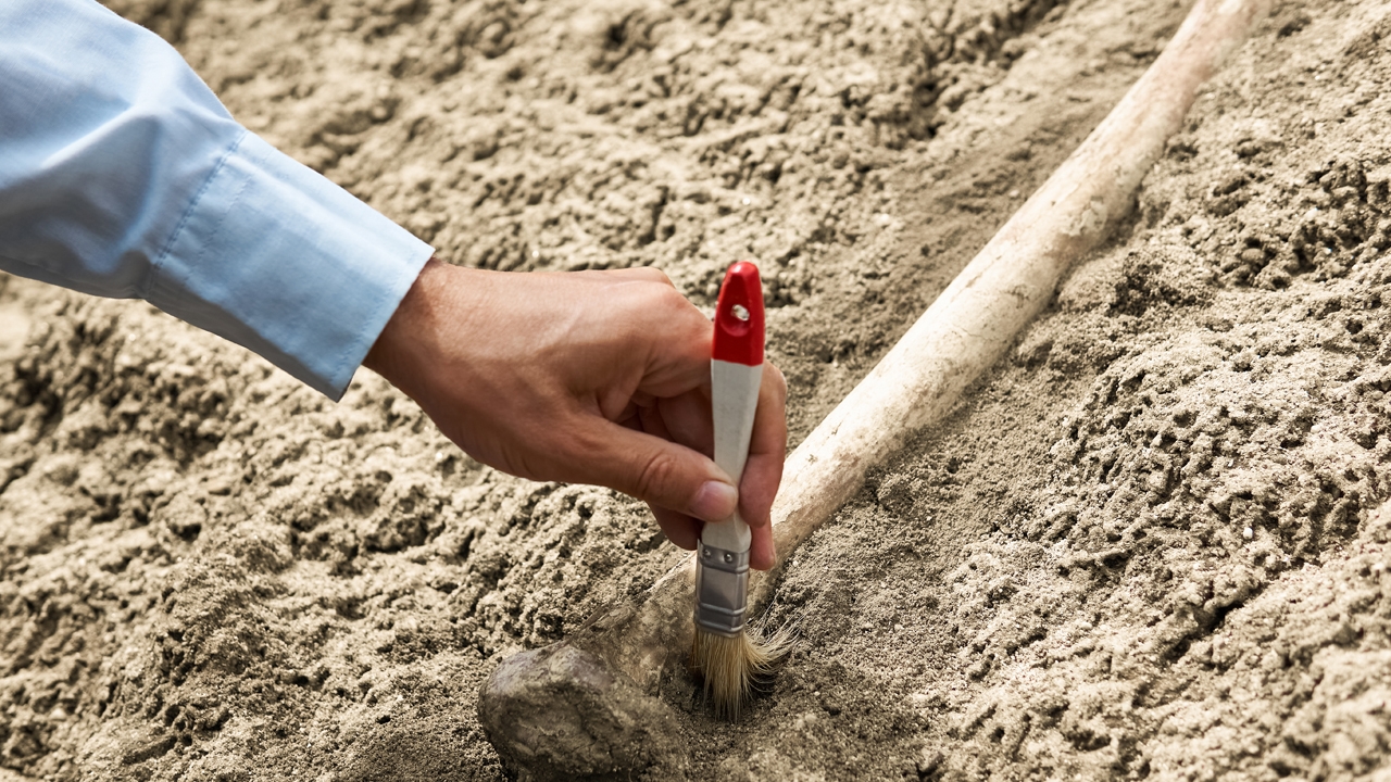 นักโบราณคดีพบกระดูกสันหลังคนโบราณในเปรูถูกเสียบไม้