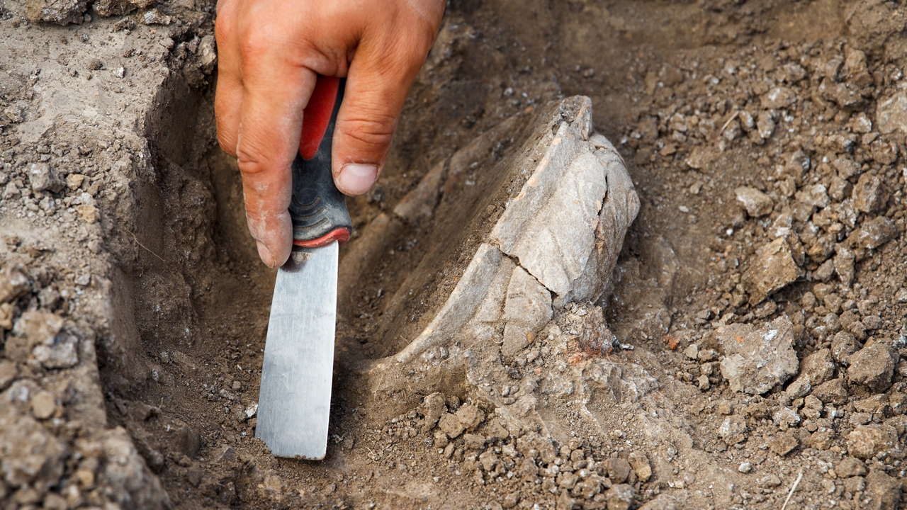 นักโบราณคดีพบซากชิ้นส่วนสัตว์โบราณพบที่มณฑลเดวอน