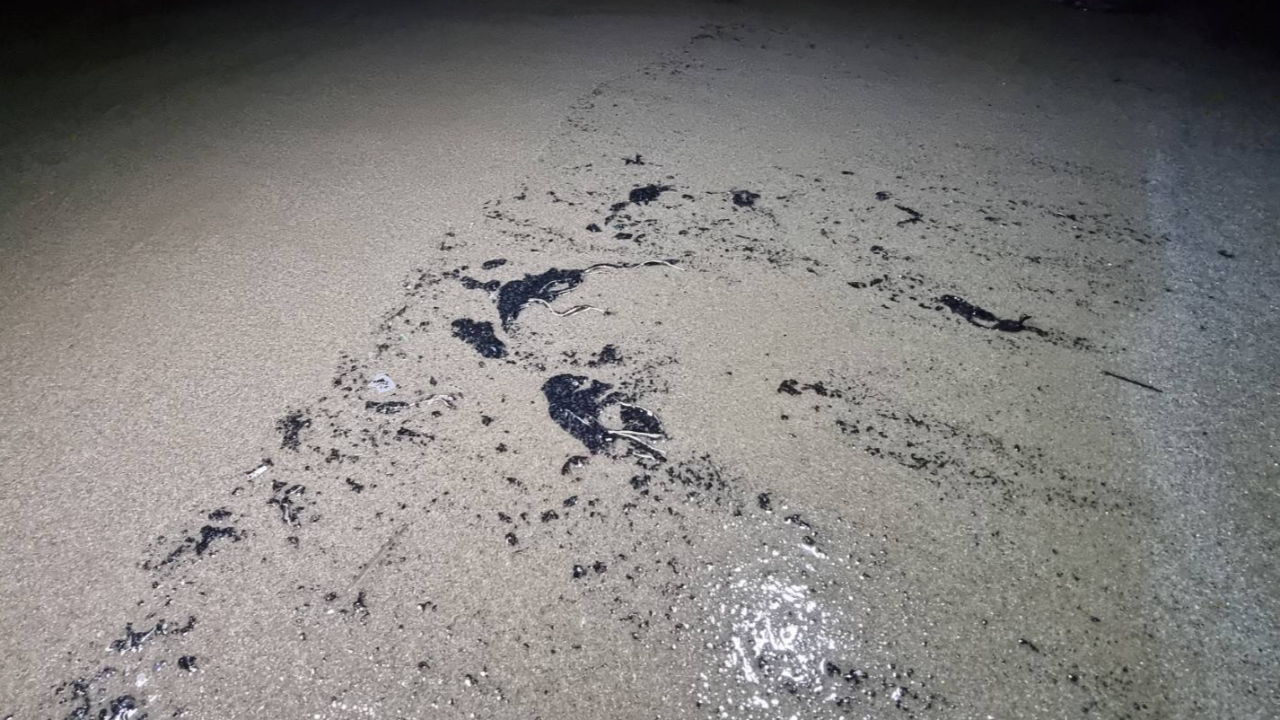 คลื่นซัด "คราบน้ำมัน" โผล่หาดแม่รำพึง รอผู้เชี่ยวชาญยืนยันที่มา