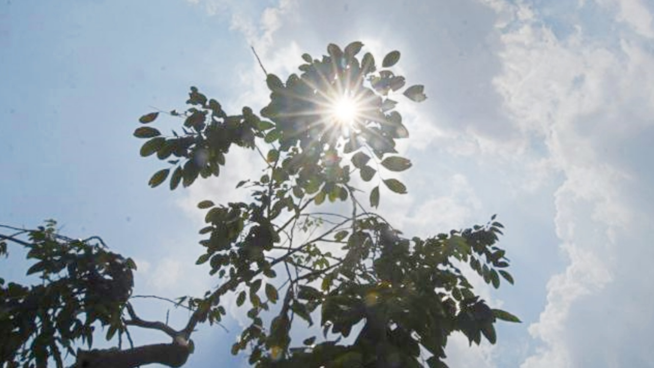 สภาพอากาศวันนี้ ตอนบนระอุ 24 จว.ฝนฟ้าคะนอง "เหนือ-อีสาน" ระวังฝุ่นพิษ