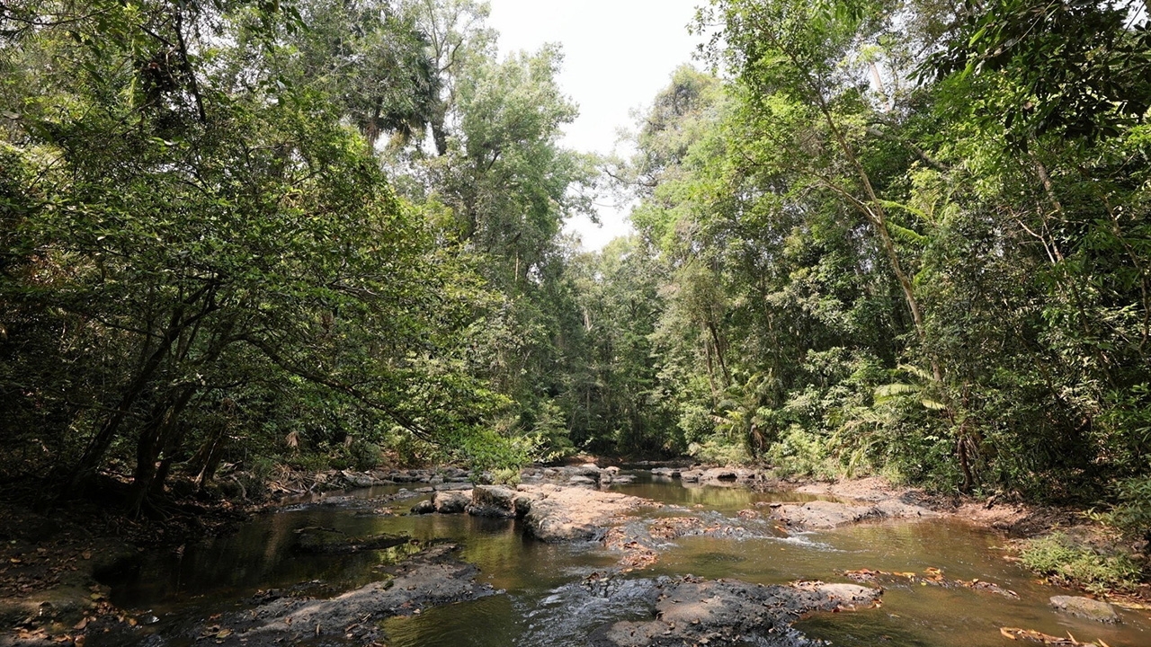 เปิดเส้นทางศึกษาธรรมชาติ ผากล้วยไม้ - น้ำตกเหวสุวัต ความร่วมมือไทย-เยอรมัน