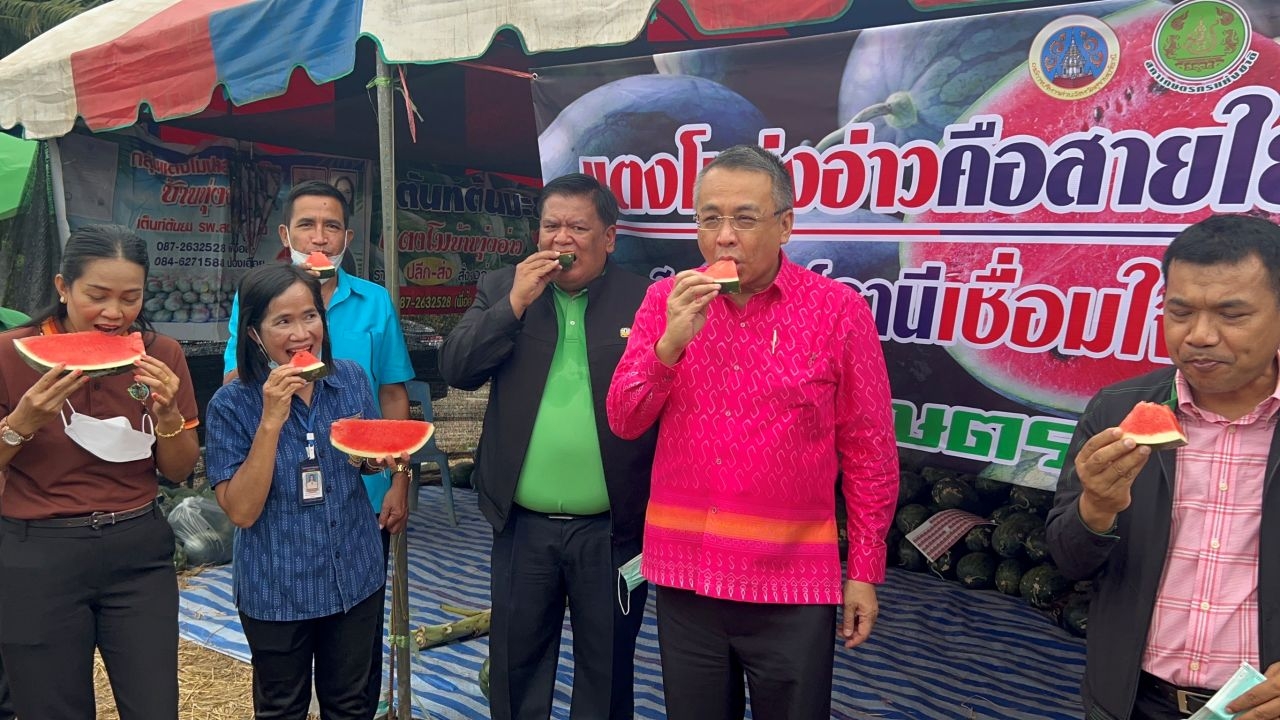 ผู้ว่าฯ ไม่ทอดทิ้ง "แตงโมทุ่งอ่าว" ปล่อยคาราวานกระจายผลผลิตกว่า 10 ตัน