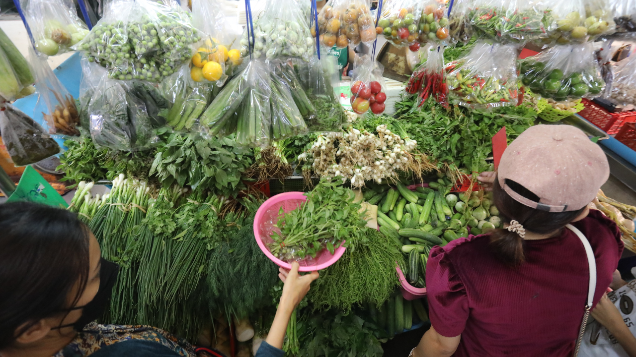 หน้าร้อนปี 65 ผักแพงอีกแล้ว มะนาว ผักชี ต้นหอม ขึ้นฉ่าย ขึ้นยกแผง