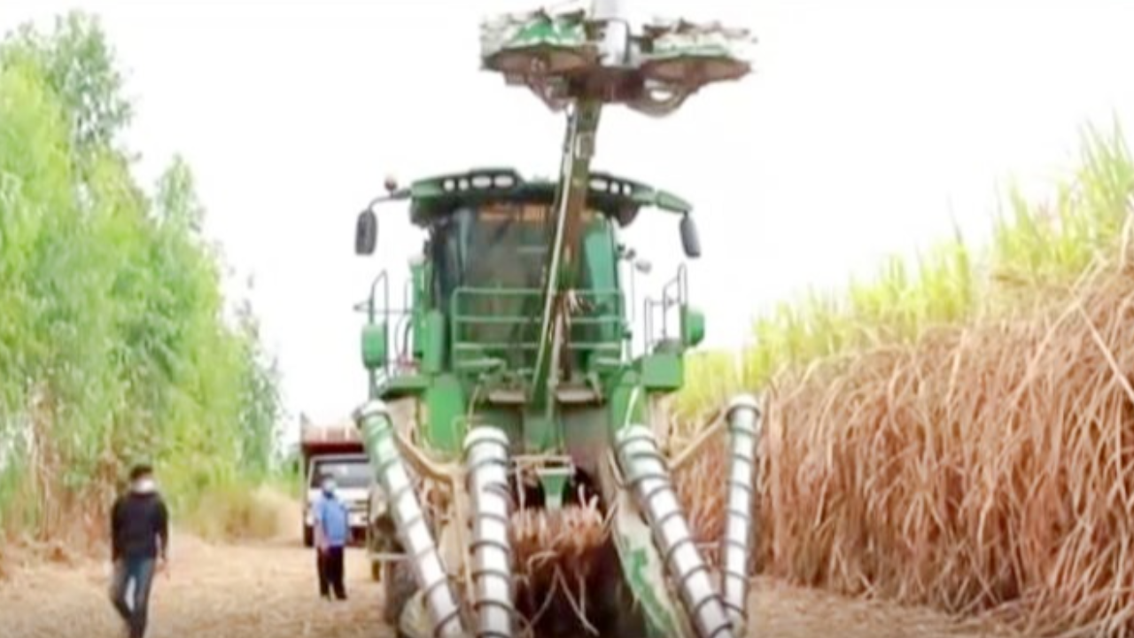 ตายสยอง "คนงานหนุ่ม" ถูกรถตัดอ้อยกลืนร่าง สับแหลกเละเป็นชิ้นๆ