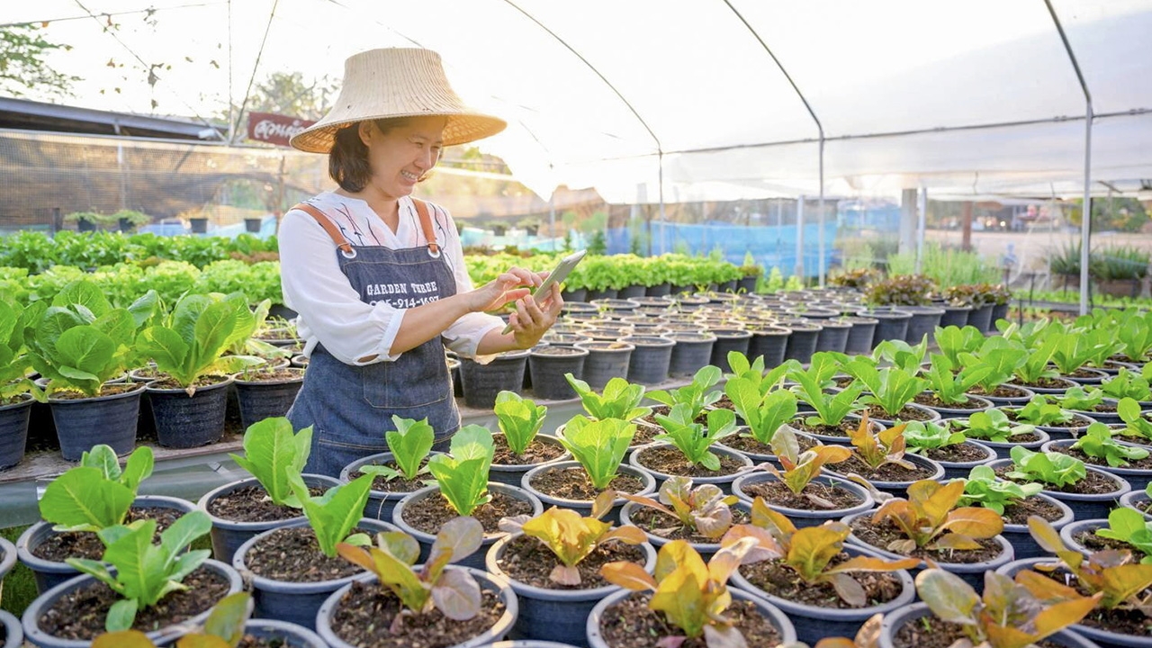 3 เกษตรกร..รักบ้านเกิด ได้ดีด้วยเทคโนโลยีดิจิทัล