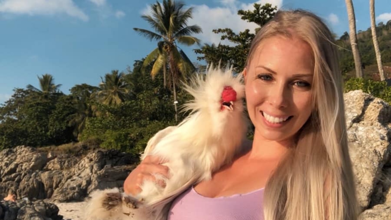 สาวออสเตรียประกาศตามหา ไก่ซิลกี้ หายจากบ้านที่ภูเก็ต ให้ 1 หมื่นคนนำมาคืน