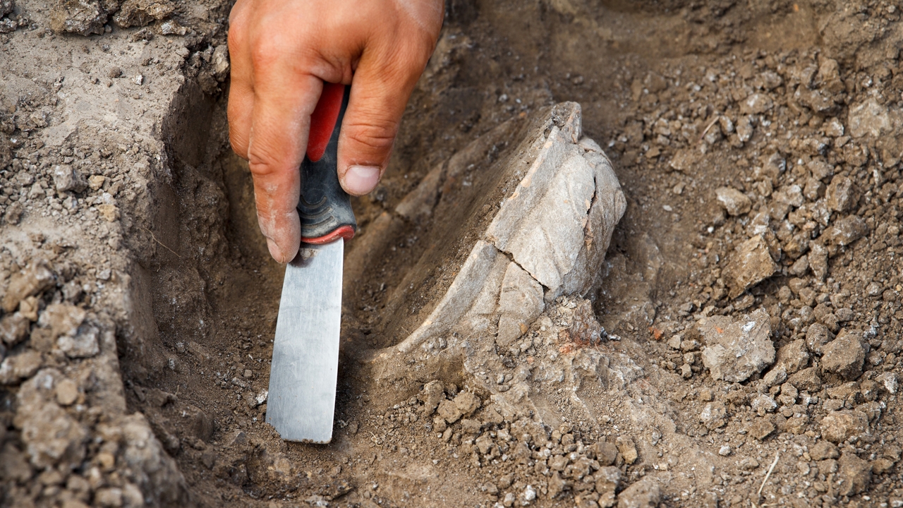 ไดโนเสาร์สายพันธุ์ใหม่แขนจิ๋วชนิดใหม่ พบในอาร์เจนตินา