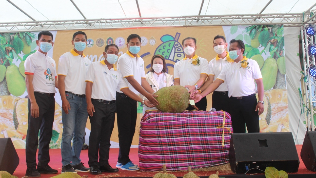 ผู้ว่าฯ โคราชเปิดเทศกาลขนุนโลก ประมูล "พันธุ์ทองประเสริฐ" สูงสุดลูกละหมื่น