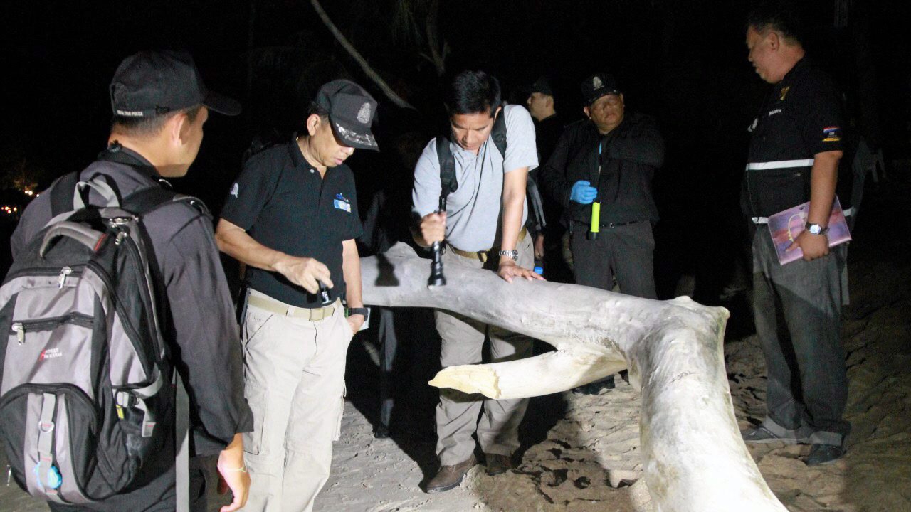 ย้อนคดีเกาะเต่า