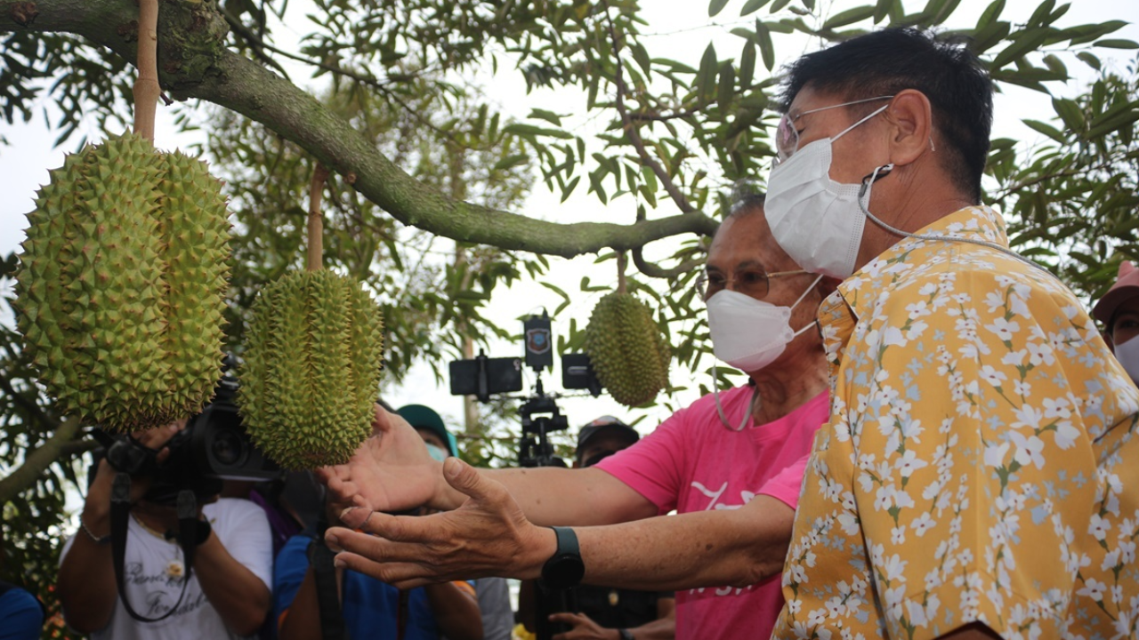 พิษณุโลกบูมท่องเที่ยว กระตุ้นด้วยทุเรียน หลง หลิน "บ้านรักไทย" 