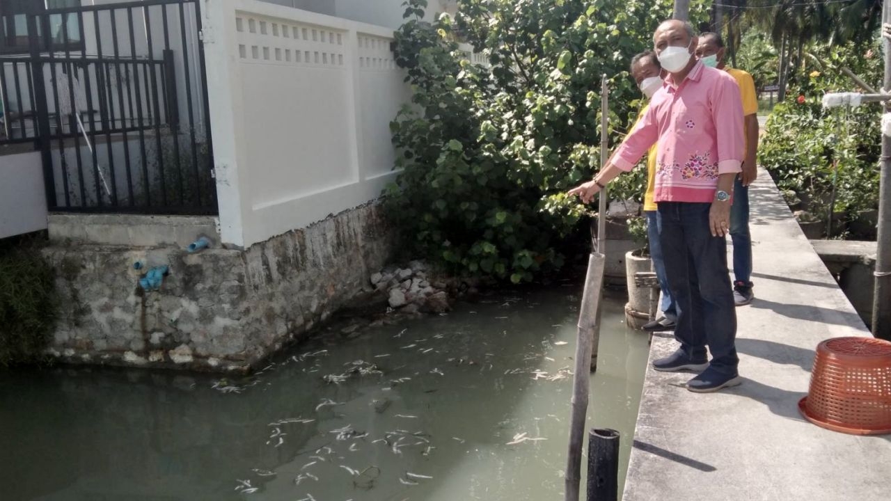 ฝนตกหนัก ทำปลาในทะเลสาบสงขลารอบเกาะยอตายนับหมื่น วอนรัฐสอบหาสาเหตุ