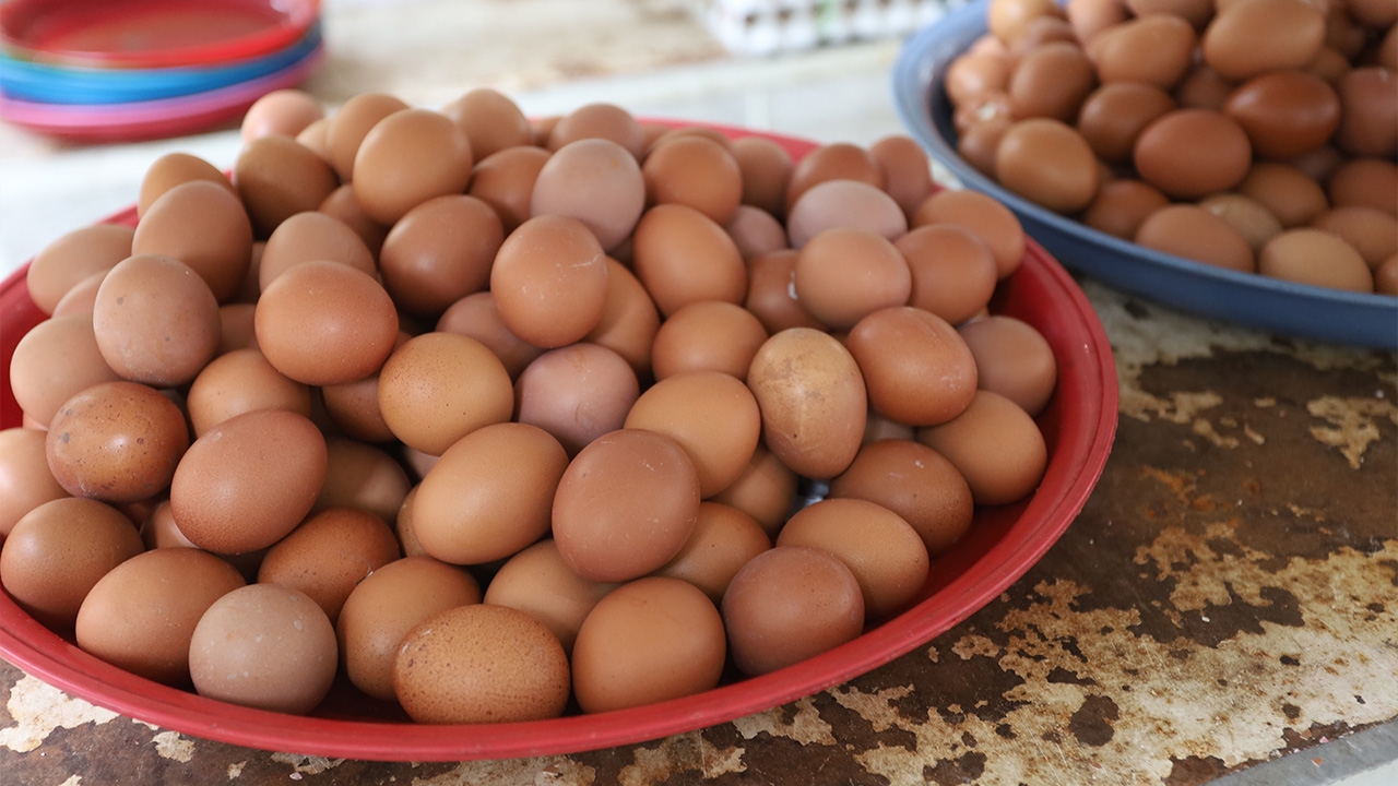 ของถวาย ของแก้บนกินได้ไหม? หมอปลายเฉลยความหมายแตกต่างกัน 