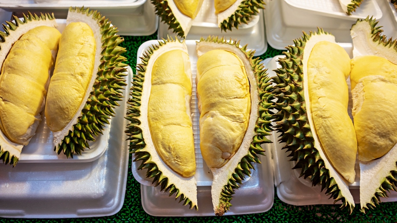 สายทุเรียนอย่าพลาด 3 อันดับ "ทุเรียน" แปรรูปให้พลังงานสูง แนะกินในปริมาณพอดี