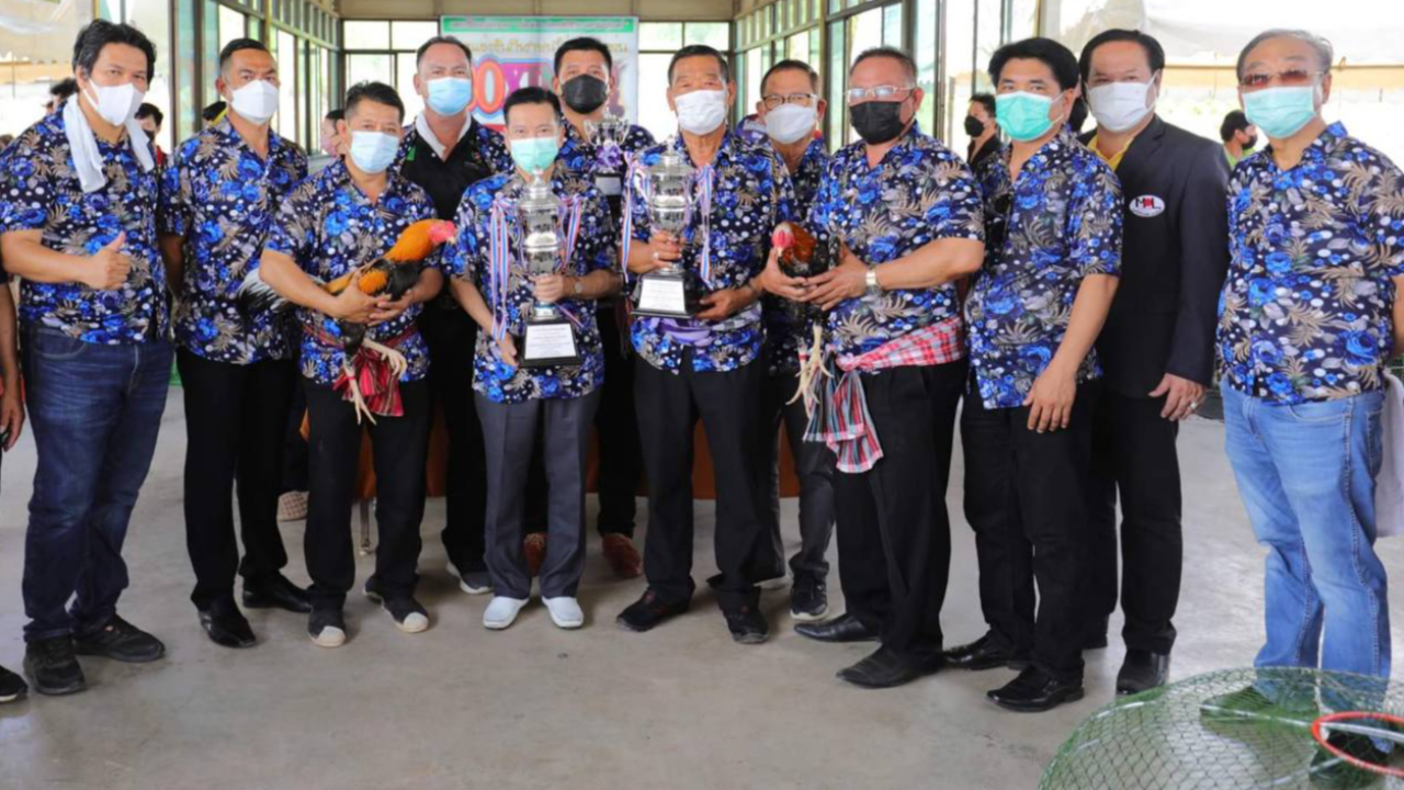 "พลังท้องถิ่นไท" หนุน อาชีพไก่ชนเต็มรูปแบบ หวังสร้างรายได้เกษตรกร-ประชาชน