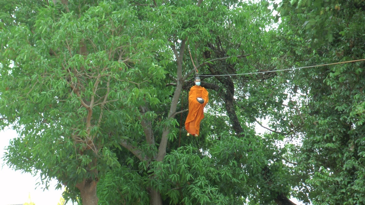 สุดฮา มิติใหม่การบิณฑบาต พระสงฆ์ลอยจากยอดไม้ ให้ญาติโยมร่วมทำบุญ