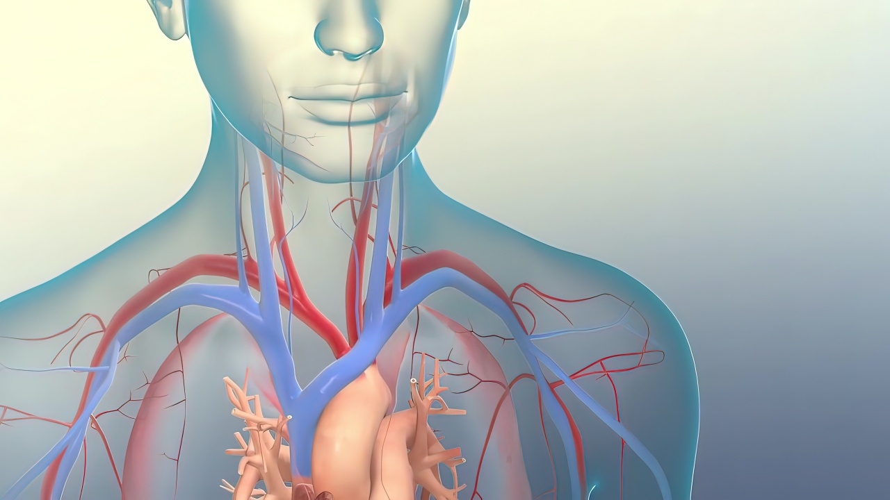 ใครบ้างเสี่ยงโรคหลอดเลือดแดงใหญ่โป่งพอง (Aortic Aneurysm)