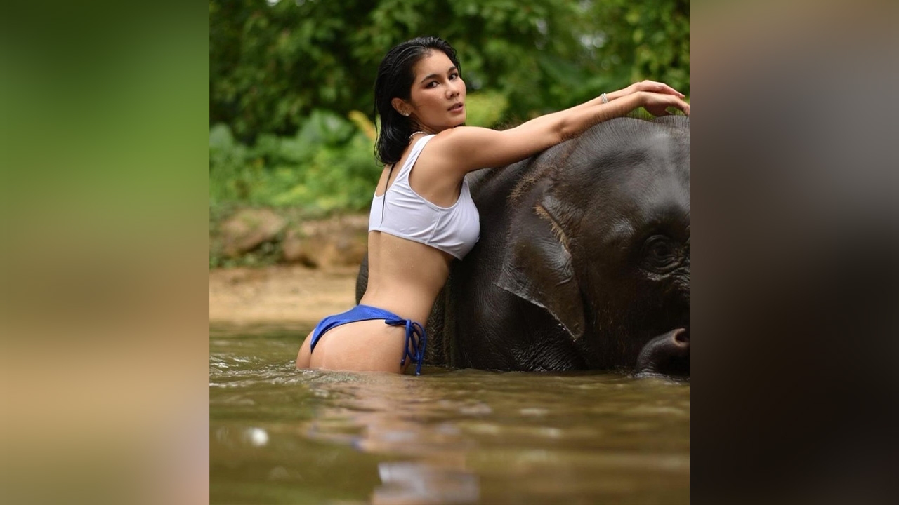 แน๊ต เกศริน ระเบิดความแซ่บกลางป่าเขา นุ่งบิกินีอาบน้ำให้ช้าง