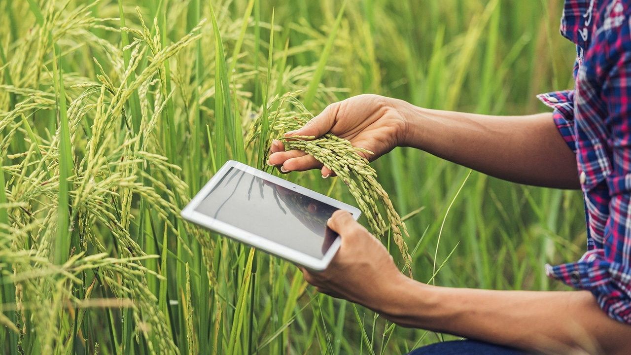 แจ้งเกิดสตาร์ตอัพสายเกษตร ใช้เทคโนโลยีเชิงลึกอัปเกรดจีดีพี