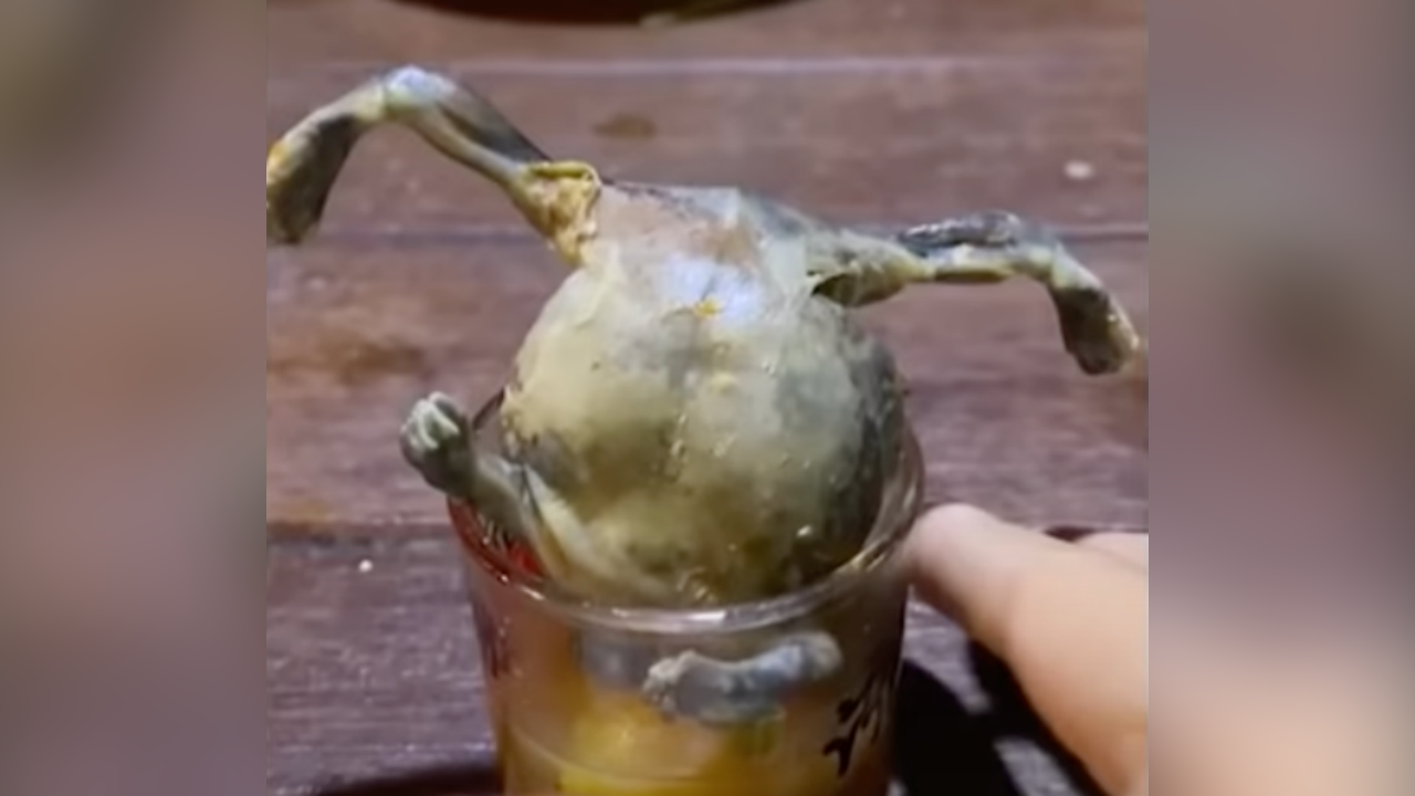 หมอเตือนกิน "อึ่งชอต" ระวังหนอนพยาธิ แนะเลี่ยงกินดิบ ล้างให้สะอาดก่อนปรุง