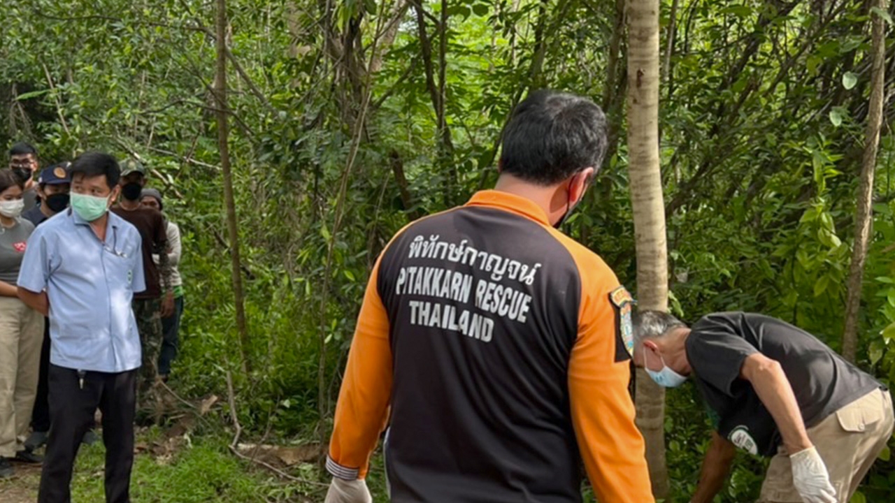 ช้างป่าสลักพระดุ กระทืบหนุ่มชอบหาของป่า เป็นศพกลางไร่มันสำปะหลัง