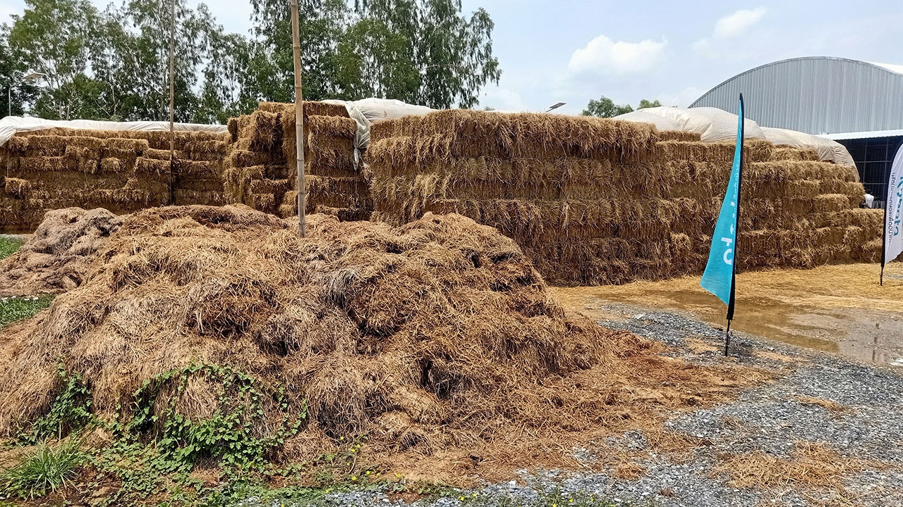 ชุมชนปลอดเผาตอซัง 100% ต.รางจรเข้ ทำได้ด้วยเทคโนโลยี