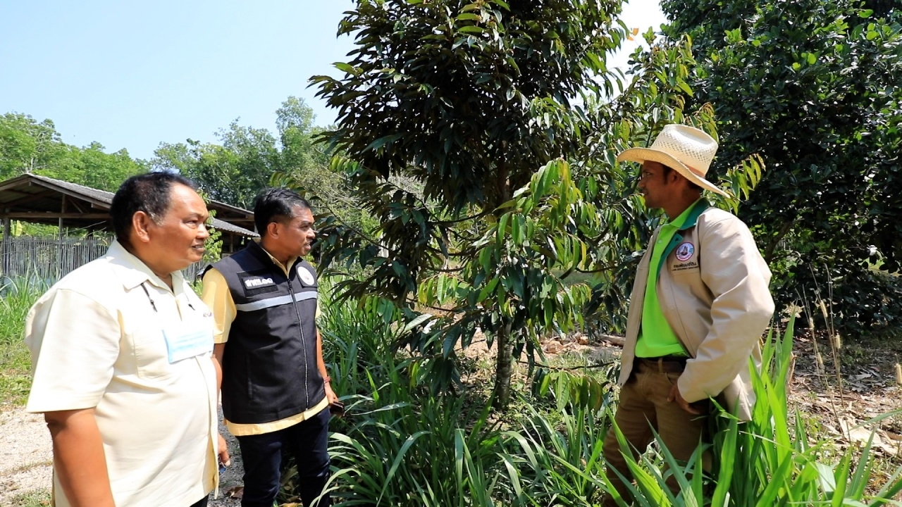 หมอดินอาสา จ.นครศรีธรรมราช ตามรอยเกษตรยั่งยืนพ่อหลวง ร.9