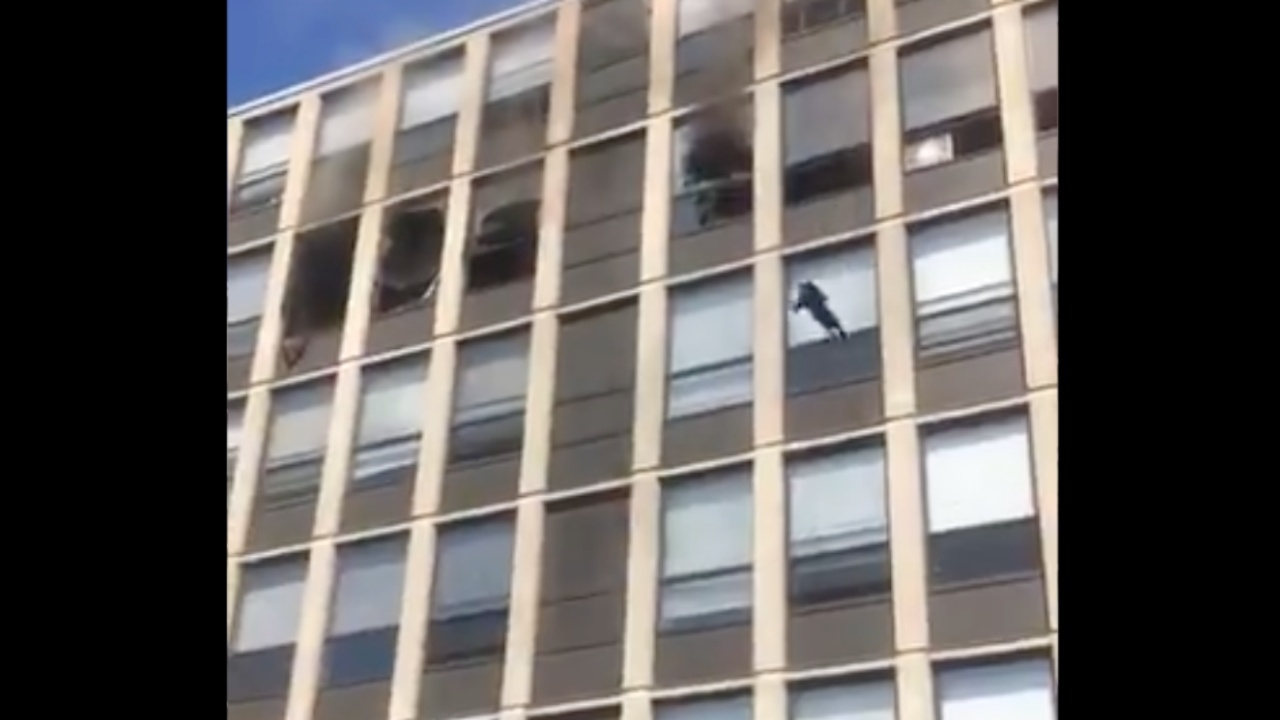 อึ้ง แมว 9 ชีวิต โดตตึกชั้น 5 หนีไฟไหม้ ลงถึงพื้นยังวิ่งปร๋อ (คลิป)