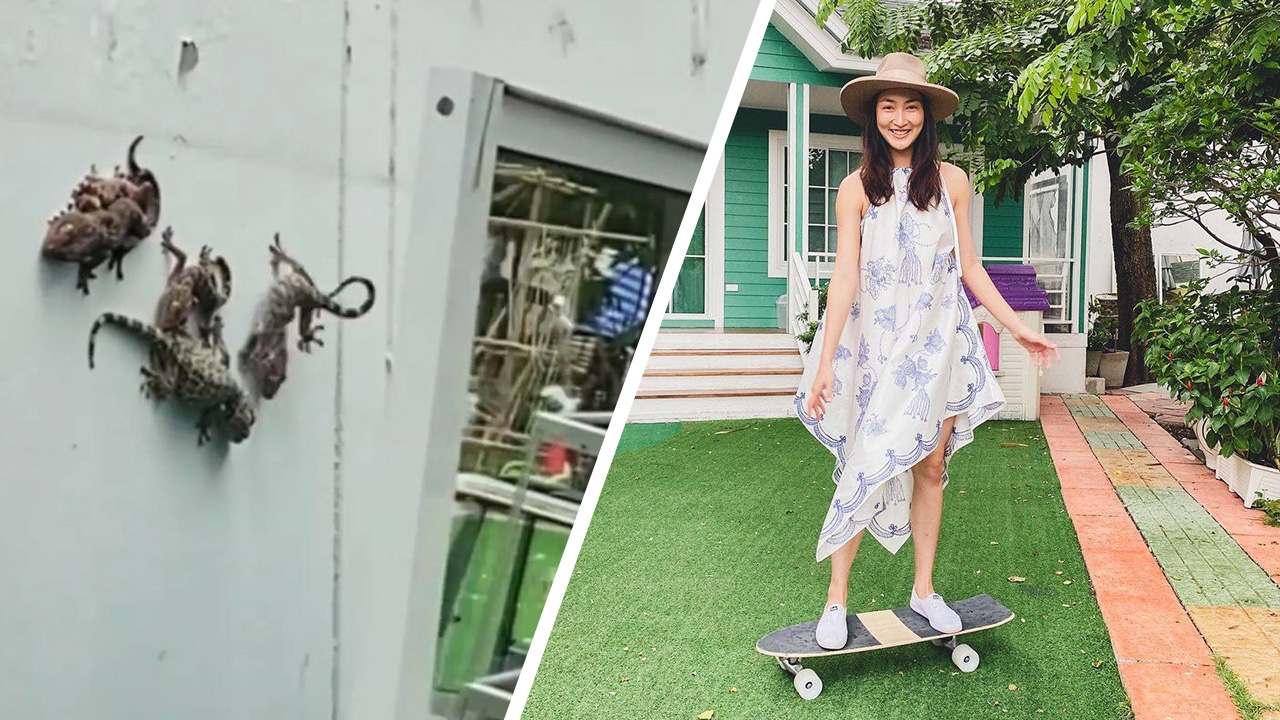 ขนลุก แพนเค้ก เผยสมาชิกครอบครัวหรรษา 20 ตัว แน็ก ชาลี บอกชอบ (คลิป)