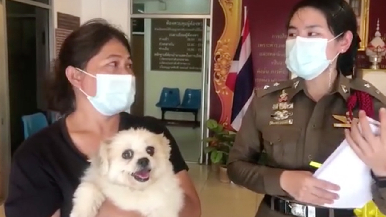 พบแล้วเจ้าของสุนัขหลงที่ สภ.เสม็ด รับดูแล เผยตามหาหลังหนีออกบ้านตอนฝนตก