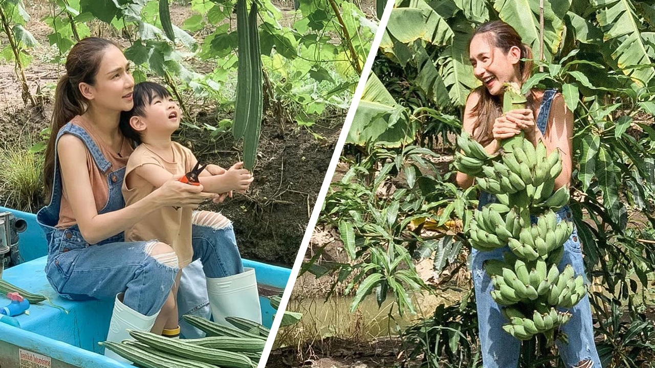 เนย โชติกา รับบทชาวสวน พาลูกเก็บผักผลไม้ปลอดสารพิษกิน 