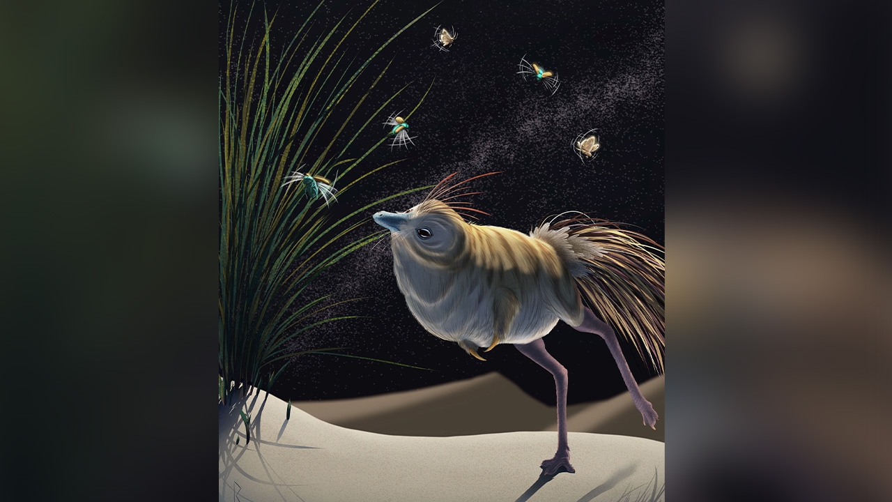 ทีมวิจัยพบไดโนเสาร์มหัศจรรย์ ที่ตามล่าเหยื่อในความมืด