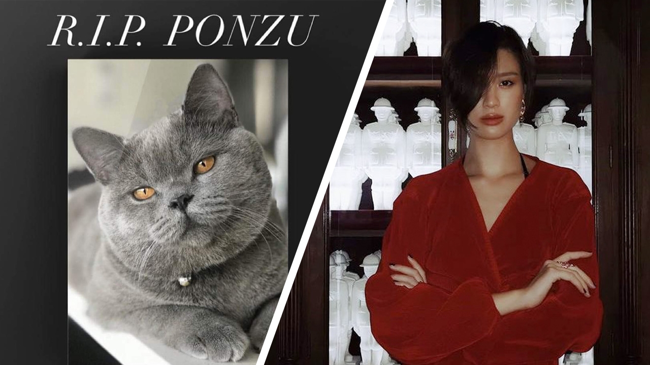 เฌอเอม เปิดประเด็นร้อน เจอเจ้าของแมว พอนซุ เคยส่งข้อความไล่ออกนอกประเทศ