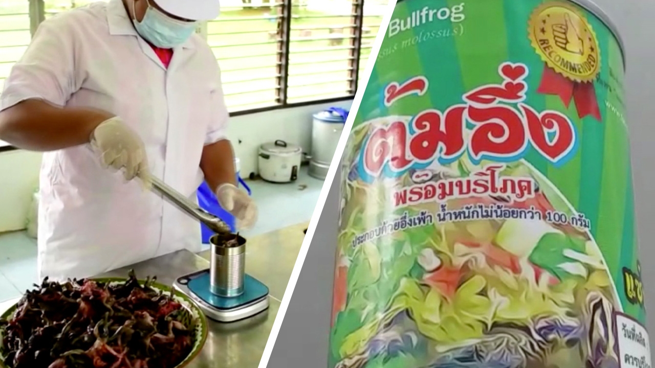 อึ่งกระป๋อง ไปโลด ออเดอร์ล้น โครงการดีๆ ช่วย นศ.ยากไร้ที่โคราช 