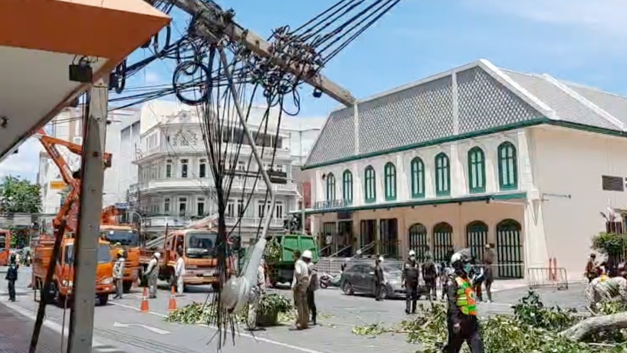 ต้นโพธิ์ยักษ์อายุกว่า 100 ปี โค่นทับเสาไฟฟ้าหัก 5 ต้นในเขตพระนคร