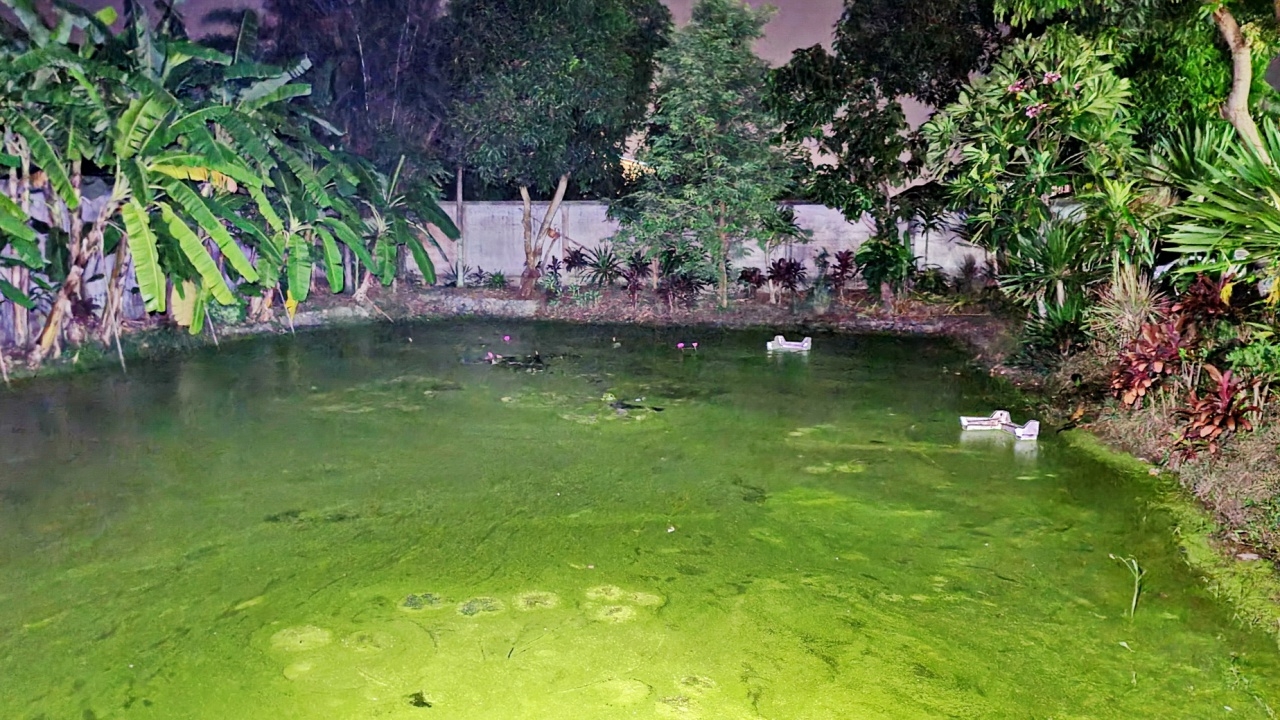 สลด "สุนัข" ตกน้ำ "เจ้าของ" โดดช่วยจมดับ นั่งเฝ้าศพ-เห่าหอนไม่ห่าง 