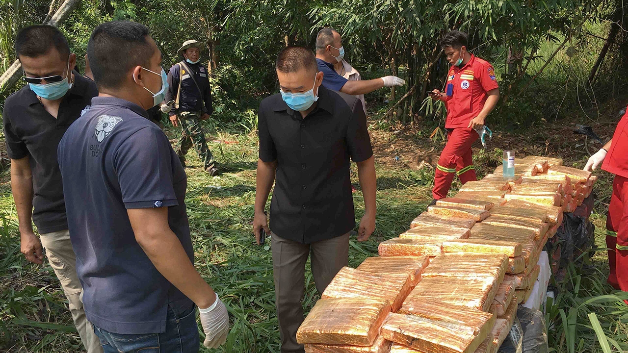 หนุ่มลอบขนกัญชา 650 กก. ไปไม่ถึงจุดหมาย รถลงเนินพลิกคว่ำดับคาที่