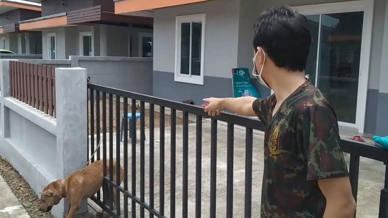 หมาไทยมันห้าวโดดข้ามกำแพงฟัดพิตบูล ขากลับดันตัวติดรั้วพี่กู้ภัยต้องช่วย